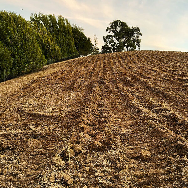 creekcut-estate-terroir-paso-robles-68